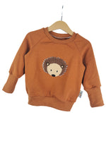 Jumper hedgehog patch rust
