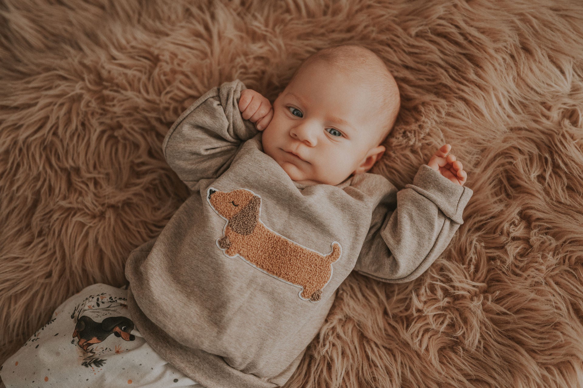 Pullover Dackelliebling-Patch