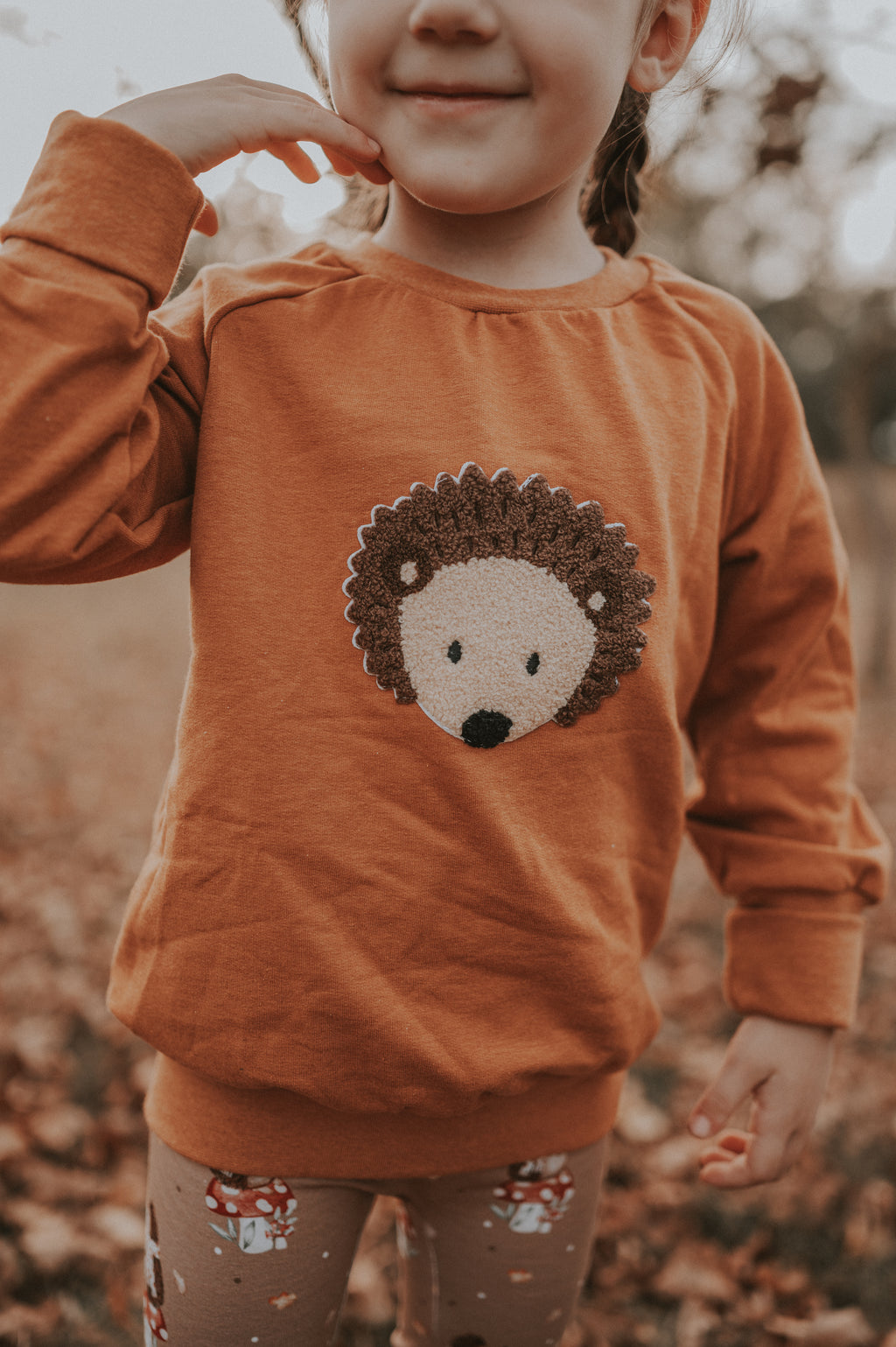 Jumper hedgehog patch rust