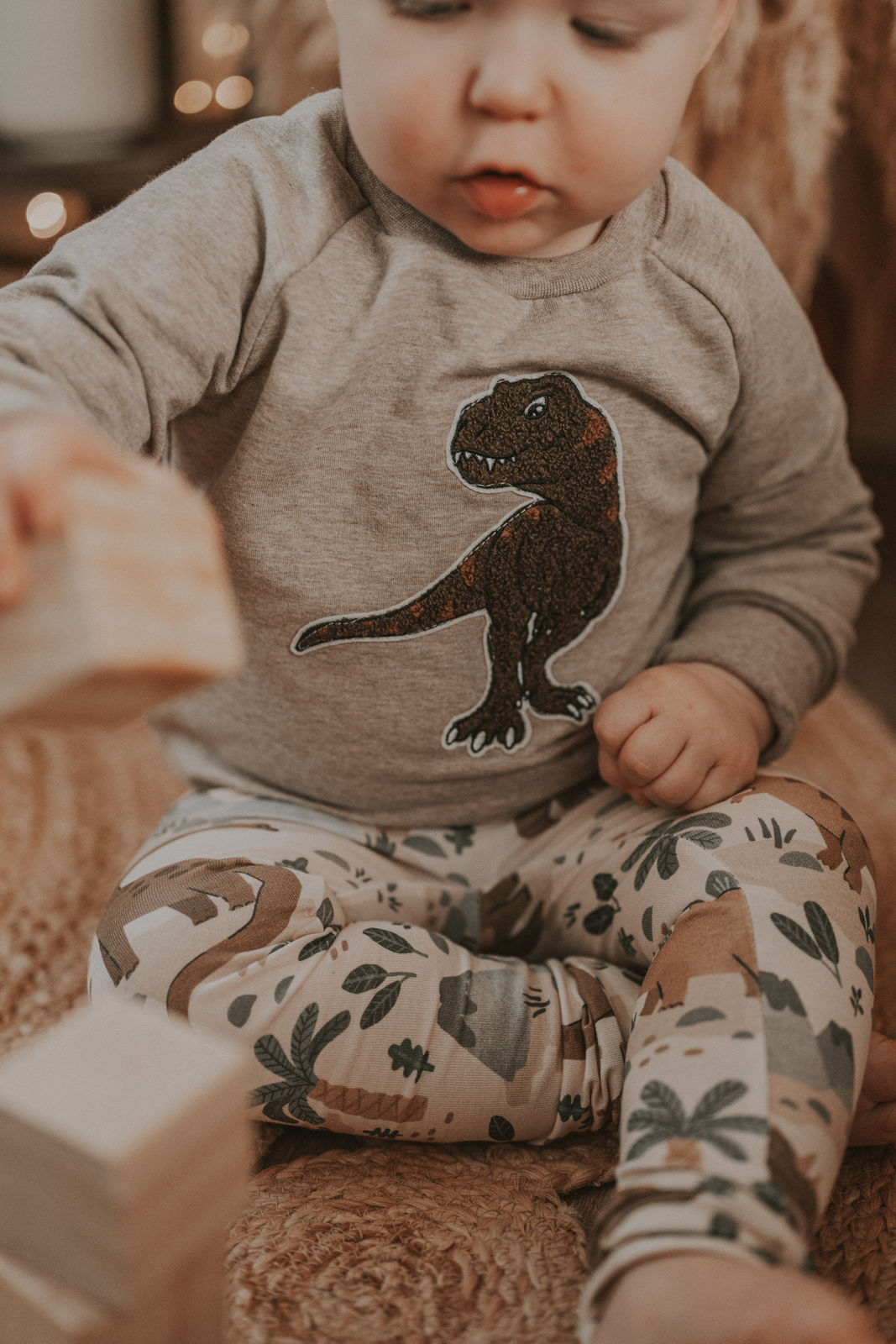 Pullover T-Rex-Patch khaki/sand