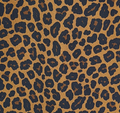 Jersey Leo braun