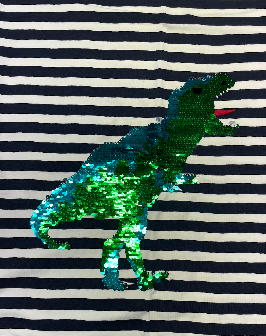 Jersey Wendepailletten Dinos