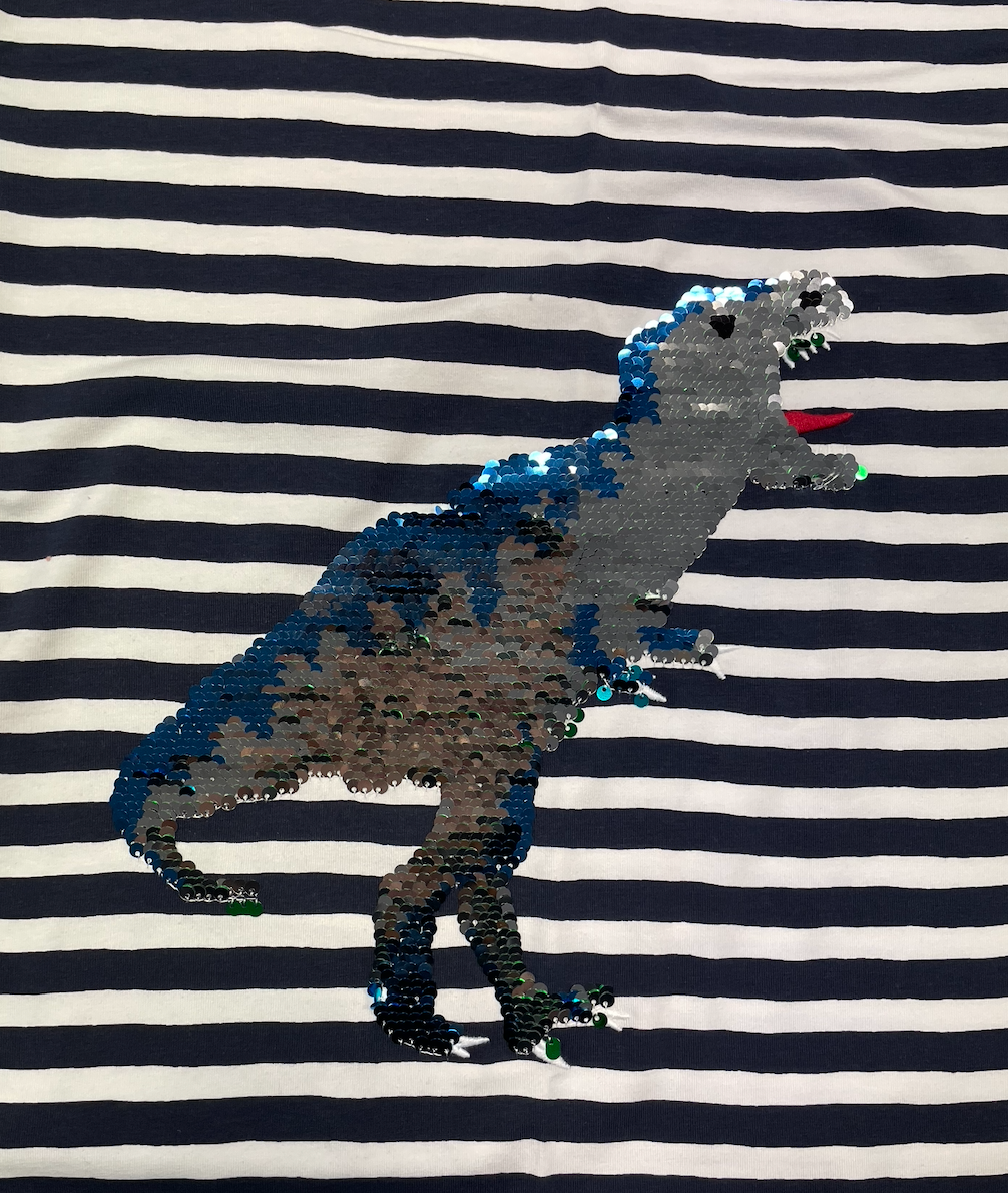 Jersey Wendepailletten Dinos