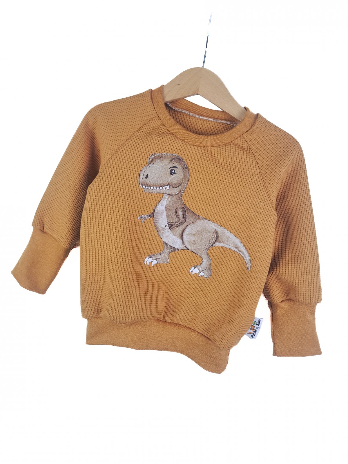 Pullover Dino-Patch curry