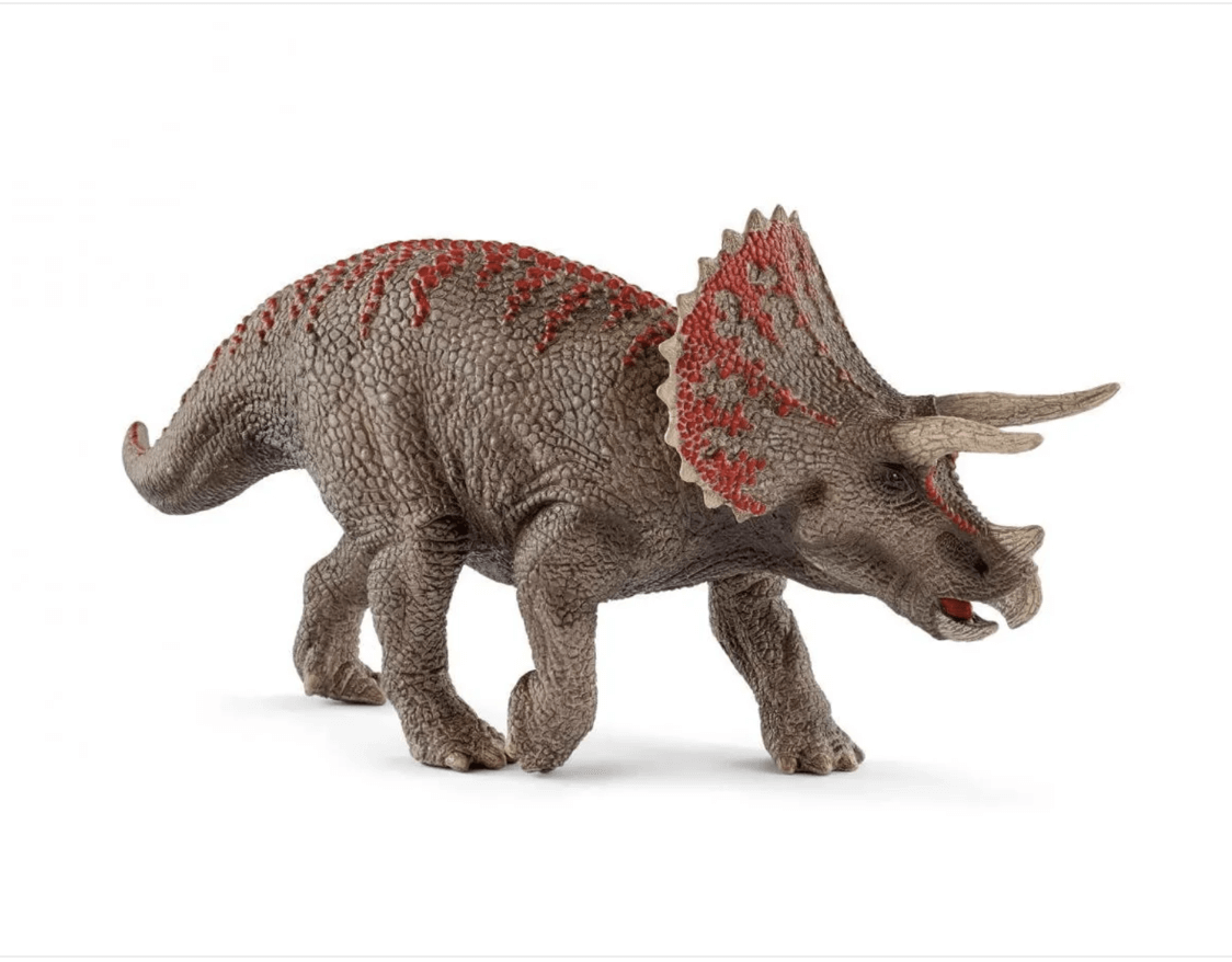 Triceratops-Patch sand Outfit