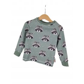 Langarmshirt Waschbär altmint