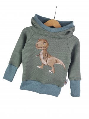 Hoodie Dino-Patch altmint