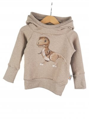 Hoodie Dino-Patch