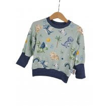 Pullover Dinoland mint