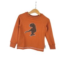 Langarmshirt T-Rex-Patch Khaki/rost 86/92 