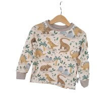 Langarmshirt Dinoparadies 86/92