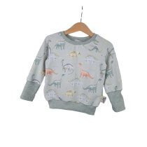 Pullover Dinoliebe 86/92